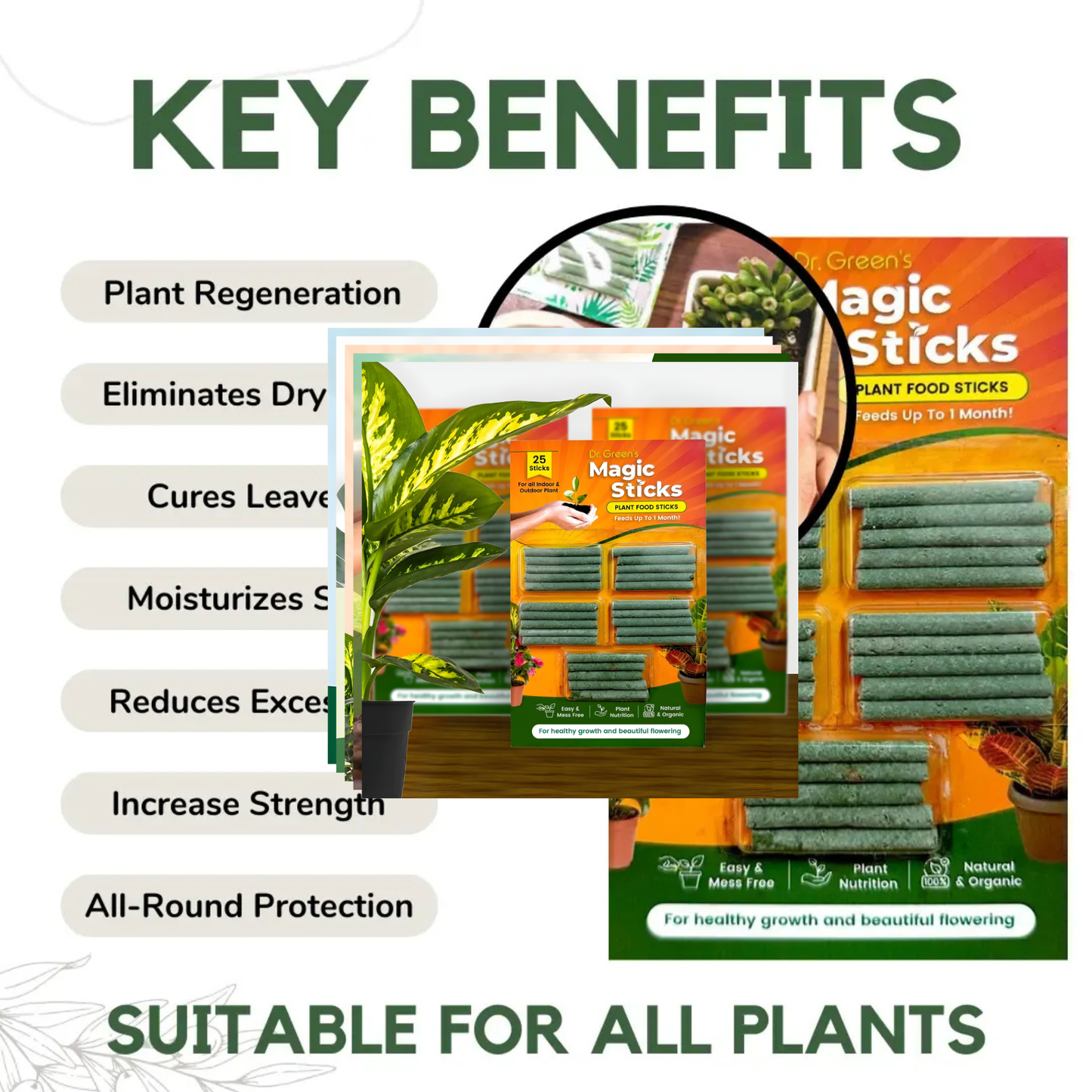 Cyclora Herbicide Granules | 🔥BUY 1 GET 1 FREE🔥